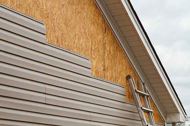 Professional Siding Repair technician working in Anoka, MN